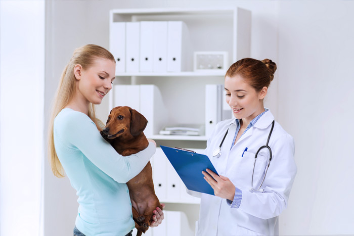 ЭЦП для оформления ветеринарных сертификатов (ГИС Меркурий) в Акуше